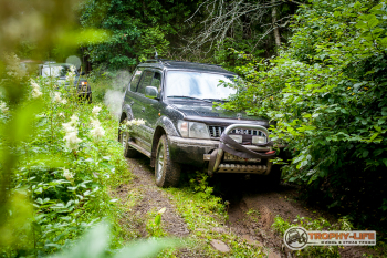 _MG_6517.jpg