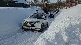 20260222_113151.jpg