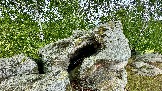 IMG_1207.jpg