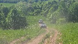 20260606_143831.jpg