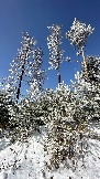 IMG_8414.jpg