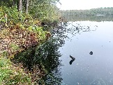 2023-10-07 10-01-26.JPG
