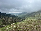 IMG_8439.JPEG