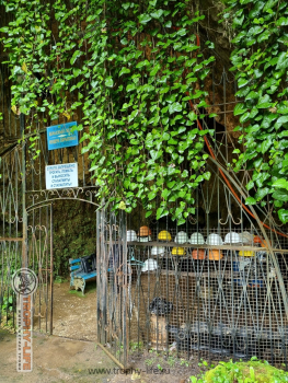 Фото Трофи-лайф 4х4 экспедиция Абхазия 2022 1-9.05.22 - 694.jpg