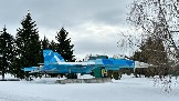 IMG_1185.jpg