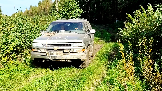 Трофи-лайф фото 4х4 покатушка Старокалужский Тракт 14.09.2024 -  (24).png