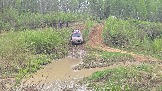 20260510_141236.jpg