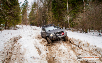 _MG_4774-61.jpg