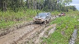 20260510_161244.jpg