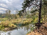 IMG_5602.JPG