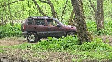 20250518_155646.jpg