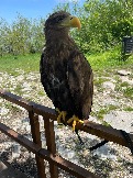 IMG_8808.JPEG