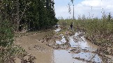 20250426_124453.jpg