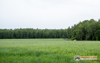 _MG_5463.jpg
