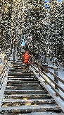 29C4223F-B0CC-4ABF-A9A2-80593EF670F4.jpeg
