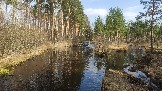 2025-04-19 16-06-33_1745090989576.JPG