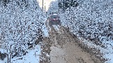 20251115_122758.jpg