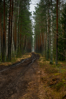 Шушмор (185 из 188).jpg