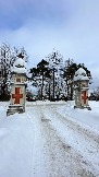 IMG_7881.jpg