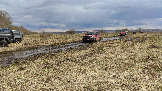 Трофи-лайф фото 4х4 покатушка Ступинский Крюк 18.04.2026 - 29.jpg