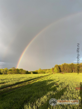 Фото Трофи-лайф 4х4 покатушка Шелковый Путь 28.05.22 - 259.jpeg