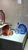 IMG_7984.jpg