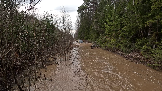Трофи-лайф фото 4х4 покатушка Каширский зигзаг 06.04.2024 -  (133).png