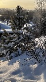 IMG_3192.JPG