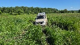 20260606_153508.jpg