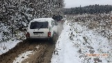 Фото Трофи-лайф 4х4 покатушка Новоистринские Просеки 28.10.23 - 232.jpg