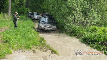 Фото Трофи-лайф 4х4 покатушка Новоистринские Просеки 04.06.22 - 418.jpg