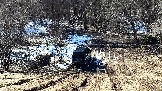 Трофи-лайф фото 4х4 покатушка Дмитровская Игрушка 08.03.2025 - (25).jpg