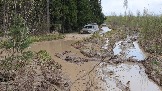 20250426_124343.jpg