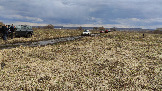 Трофи-лайф фото 4х4 покатушка Ступинский Крюк 18.04.2026 - 21.jpg