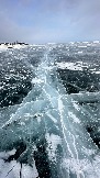 IMG_8516.jpg