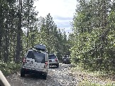 IMG_9309.jpeg