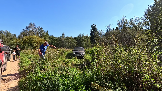 Трофи-лайф фото 4х4 покатушка Волоколамский Кремль 07.09.2024 - (9).png