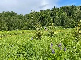 IMG_8776.JPG