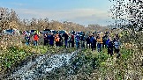 IMG_7593.jpg