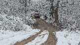 20251115_123639.jpg
