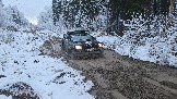 20251115_122538.jpg