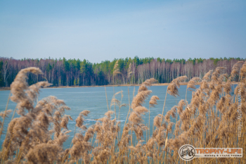 2020-03-28-kubrinsk-33.jpg