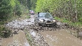 20260510_120358.jpg