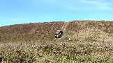 Трофи-лайф фото 4х4 покатушка Можайские Тропы 21.09.2024 -  (74).png
