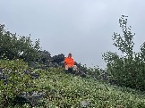 IMG_9336.jpeg