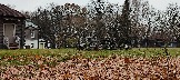 IMG_20231104_105259.jpg