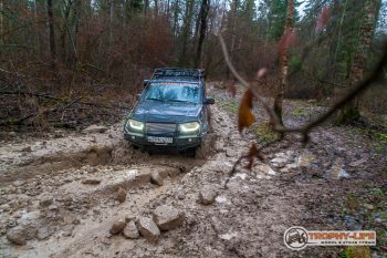 _MG_8498.jpg