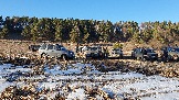 20250308_164115.jpg