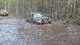20260502_133610.jpg