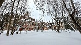 IMG_7921.jpg